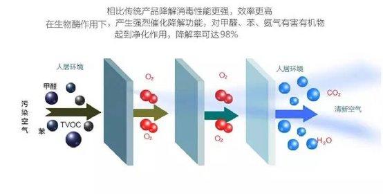 光觸媒、生物酶、空氣凈化器，哪家除甲醛公司效果好？