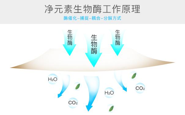 光觸媒、生物酶、空氣凈化器，哪家除甲醛公司效果好？